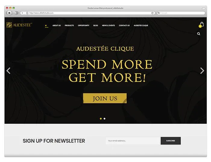 Mockup website audestee