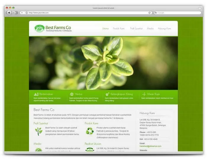 Website project preview: BestFarms.com.my — Website by alfatihstudio